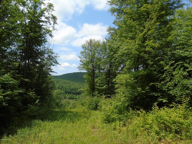 58 Summit Woods, Roaring Brook Twp, PA 18444