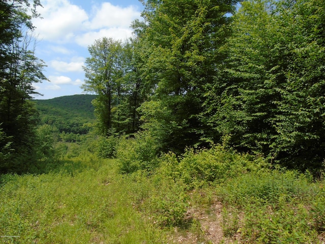 58 Summit Woods, Roaring Brook Twp, PA 18444