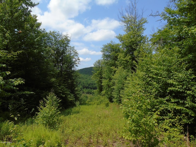 58 Summit Woods, Roaring Brook Twp, PA 18444