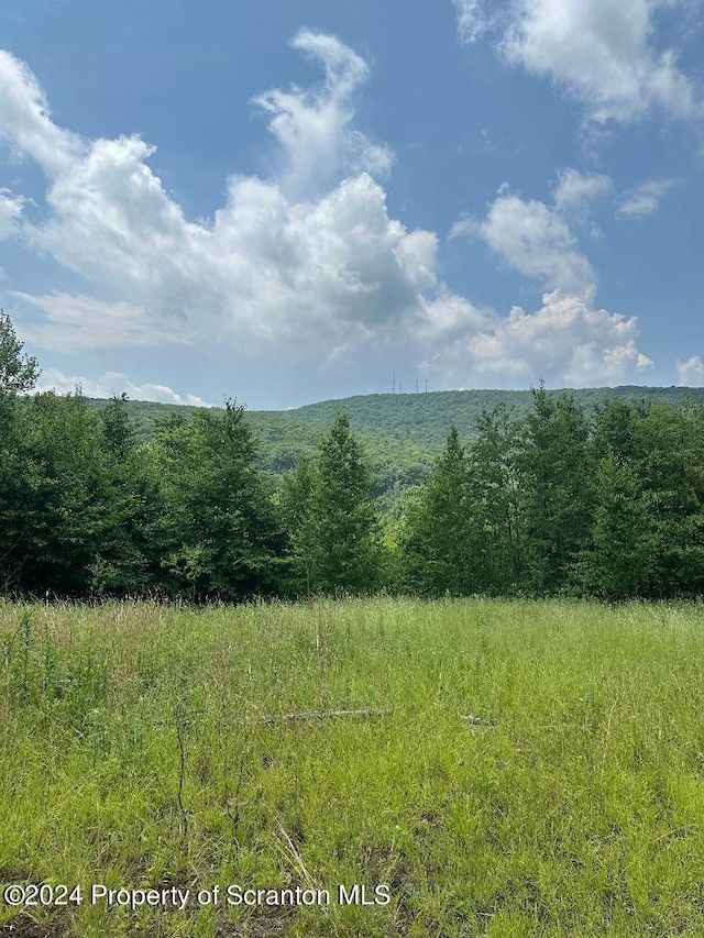 58 Summit Woods, Roaring Brook Twp, PA 18444