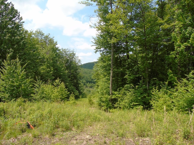 58 Summit Woods, Roaring Brook Twp, PA 18444
