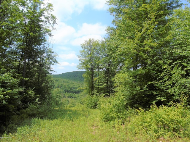 58 Summit Woods, Roaring Brook Twp, PA 18444