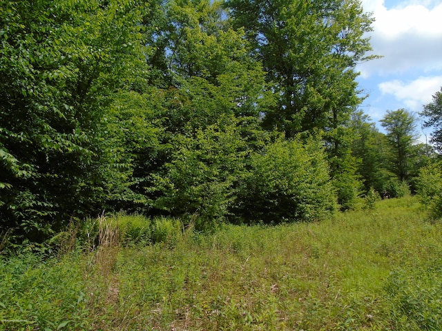 58 Summit Woods, Roaring Brook Twp, PA 18444