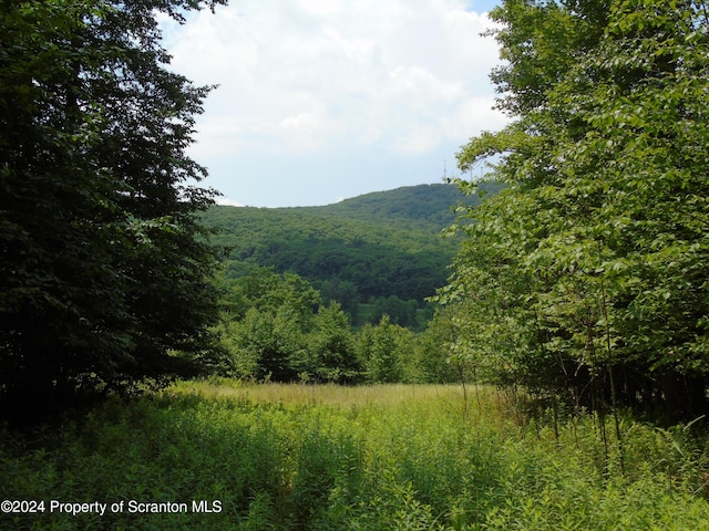 58 Summit Woods, Roaring Brook Twp, PA 18444