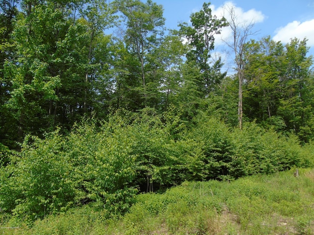 58 Summit Woods, Roaring Brook Twp, PA 18444