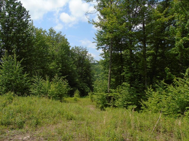 58 Summit Woods, Roaring Brook Twp, PA 18444