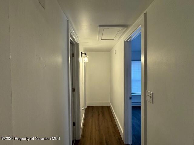 hallway with dark wood-type flooring