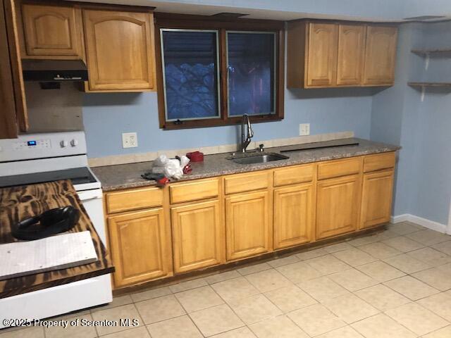 kitchen featuring electric stove, sink, and range hood