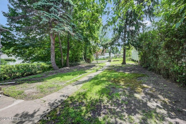 1725 Cedar Ave, Scranton, PA 18505 - view of yard