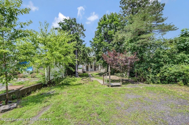 1725 Cedar Ave, Scranton, PA 18505 - view of yard