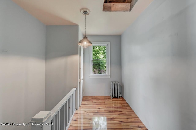 1725 Cedar Ave, Scranton, PA 18505 - corridor with radiator and light wood-style floors