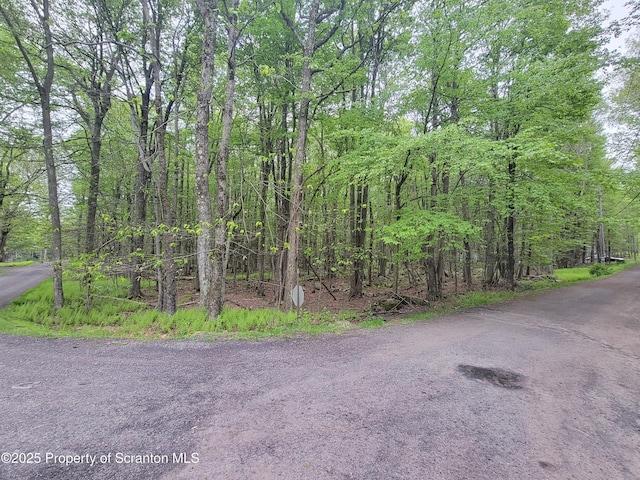 Cochise Trl, Gouldsboro, PA 18424