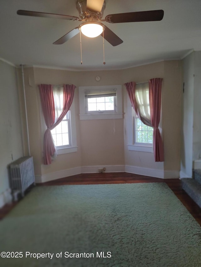 1425 Bulwer St, Scranton, PA 18504 - photo 10