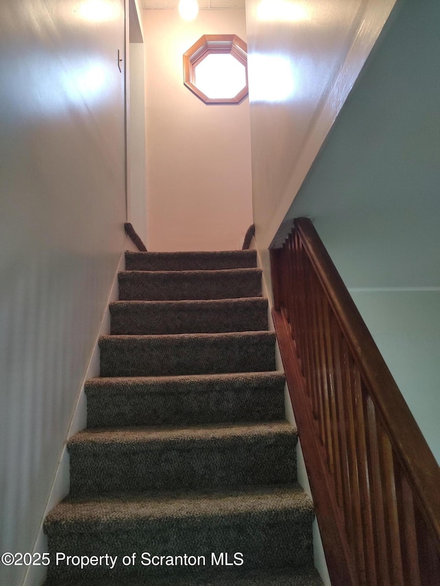 1425 Bulwer St, Scranton, PA 18504 - photo 17