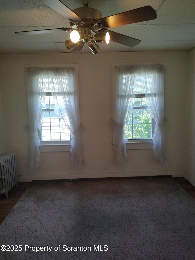 1425 Bulwer St, Scranton, PA 18504 - photo 23