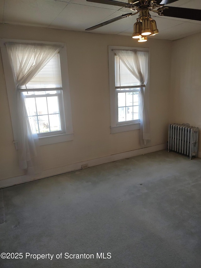 1425 Bulwer St, Scranton, PA 18504 - photo 19
