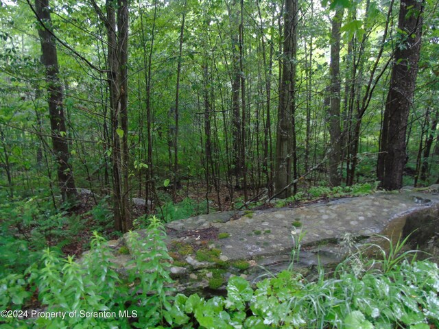 Laurel, Spring Brook Twp, PA 18444 - photo 12