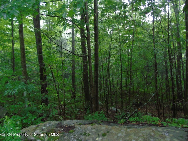 Laurel, Spring Brook Twp, PA 18444 - photo 4
