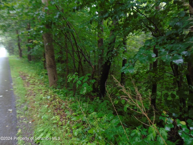 Laurel, Spring Brook Twp, PA 18444 - photo 8