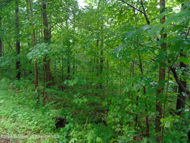 Laurel, Spring Brook Twp, PA 18444 - photo 11