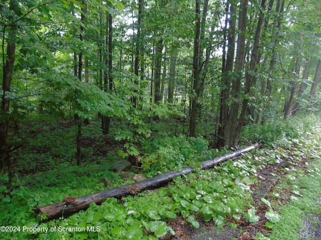 Laurel, Spring Brook Twp, PA 18444 - photo 2