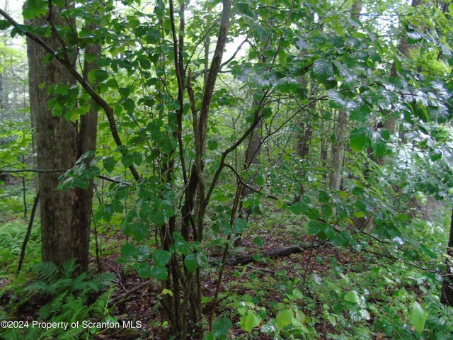 Laurel, Spring Brook Twp, PA 18444 - photo 10