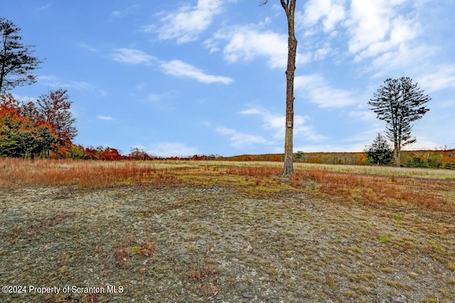 view of yard featuring a rural view