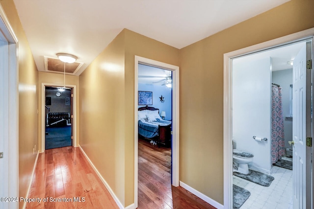 hallway with hardwood / wood-style flooring