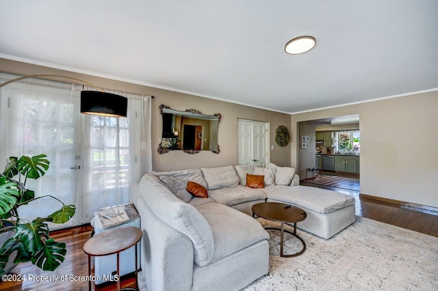 living room featuring wood-type flooring and ornamental molding