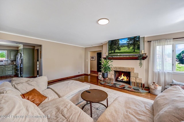 living room featuring wood-type flooring and crown molding