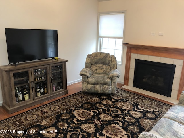 living room featuring a fireplace and wood-type flooring