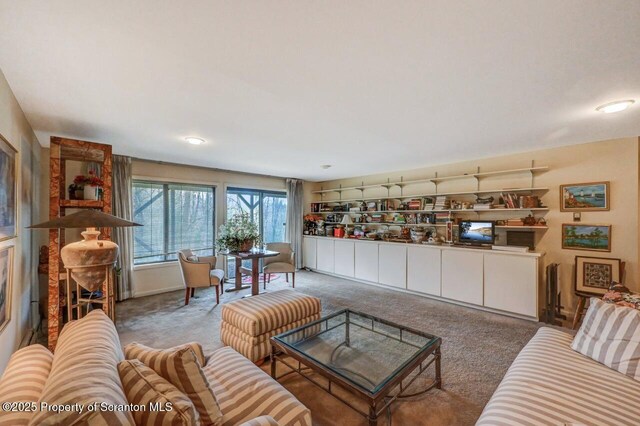 living area featuring carpet floors