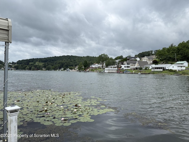 186 Point Rd, Factoryville, PA 18419 - photo 16