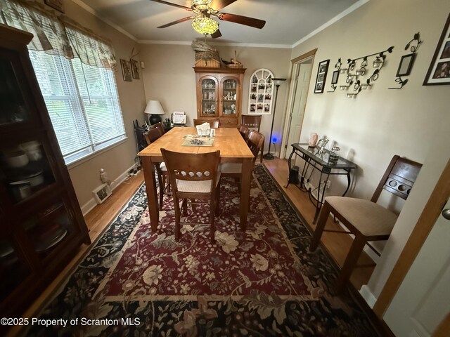 186 Point Rd, Factoryville, PA 18419 - photo 5