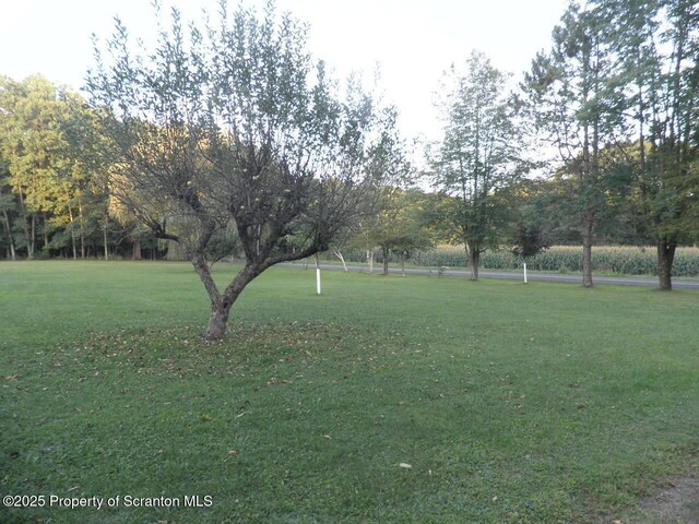 477 Saint Marys Rd, Mountaintop, PA 18707 - photo 14
