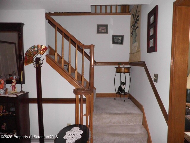 477 Saint Marys Rd, Mountaintop, PA 18707 - photo 16