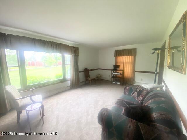 477 Saint Marys Rd, Mountaintop, PA 18707 - photo 17