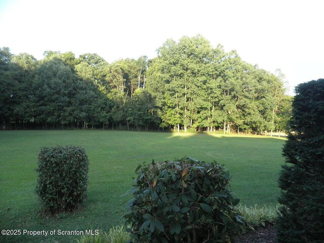 477 Saint Marys Rd, Mountaintop, PA 18707 - photo 12