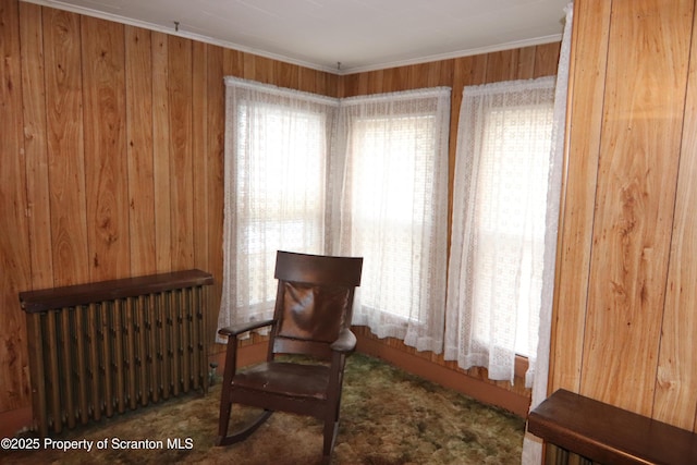 living area with radiator heating unit and wooden walls