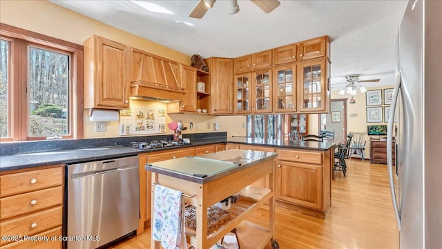 141 Cove Point Cir, Lakeville, PA 18438 - kitchen with appliances with stainless steel finishes, a ceiling fan, custom exhaust hood, a textured ceiling, and a peninsula