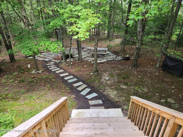 29 Hirshorn Dr, Newfoundland, PA 18445 - photo 19