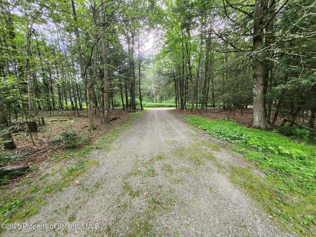 29 Hirshorn Dr, Newfoundland, PA 18445 - photo 41