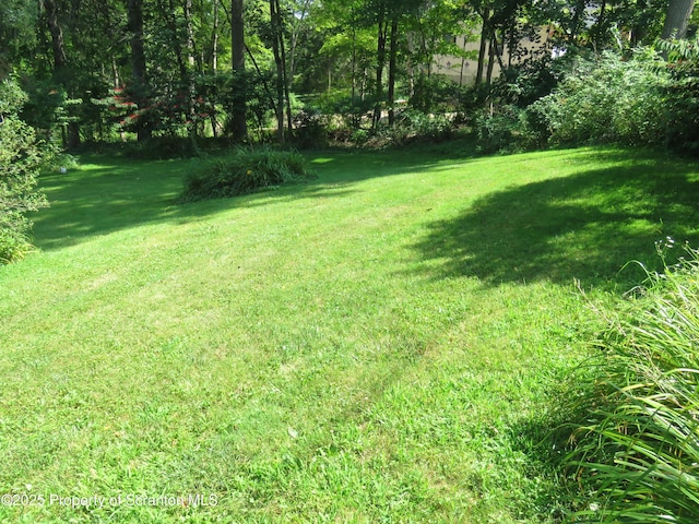 208 Thompson St, Dalton, PA 18414 - photo 37