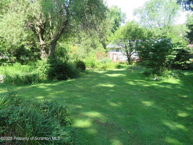 208 Thompson St, Dalton, PA 18414 - photo 36