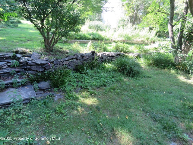 208 Thompson St, Dalton, PA 18414 - photo 40