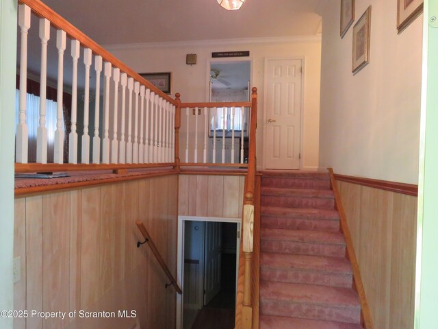 208 Thompson St, Dalton, PA 18414 - photo 13