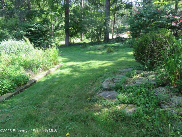 208 Thompson St, Dalton, PA 18414 - photo 38