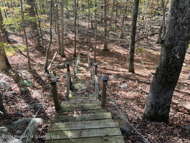 view of local wilderness