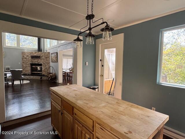 kitchen featuring butcher block counters, a healthy amount of sunlight, pendant lighting, and dark hardwood / wood-style floors