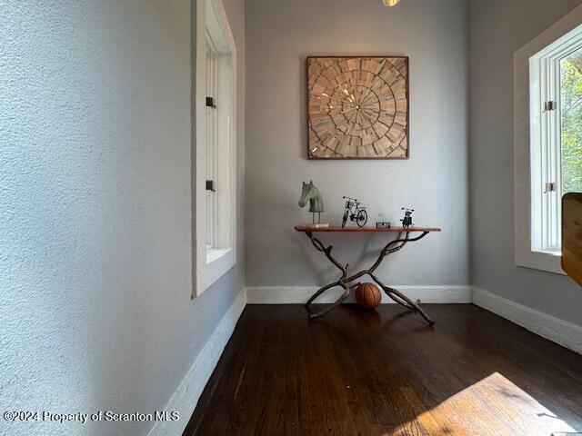 hallway featuring dark hardwood / wood-style floors